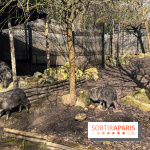 Zoo de Vincennes, Parc zoologique 2024 - nos photos - image00022