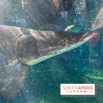 Zoo de Vincennes, Parc zoologique 2024 - nos photos - image00023