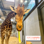 Zoo de Vincennes, Parc zoologique 2024 - nos photos - image00019