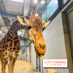 Zoo de Vincennes, Parc zoologique 2024 - nos photos - image00020