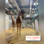 Zoo de Vincennes, Parc zoologique 2024 - nos photos - image00021