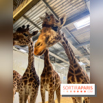 Zoo de Vincennes, Parc zoologique 2024 - nos photos - image00009