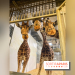 Zoo de Vincennes, Parc zoologique 2024 - nos photos - image00006