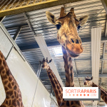 Zoo de Vincennes, Parc zoologique 2024 - nos photos - image00003