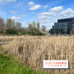 Parc des Impressionnistes à Clichy - nos photos - image00007