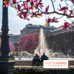 Les magnolias du Jardin du Palais Royal  - printemps - visuel Paris - fontaine - chaleur