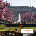 Les magnolias du Jardin du Palais Royal  - A7C04632