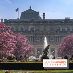 Les magnolias du Jardin du Palais Royal  - printemps - visuel Paris