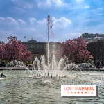 Les magnolias du Jardin du Palais Royal  - printemps - visuel Paris - fontaine - chaleur - beau temps