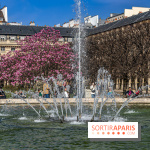 Les magnolias du Jardin du Palais Royal  - printemps - visuel Paris - fontaine - chaleur - beau temps