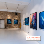 Exposition street-art Sax à Paris : A travers l'océan