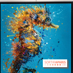 Exposition street-art Sax à Paris : A travers l'océan -  A7C9108