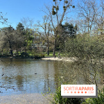 Lac de Saint-Mandé - nos photos - WhatsApp Image 2024 03 22 à 16.15.30 6feb9081