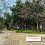 Arbor&Sens, l'Arboretum de Franchard en forêt de Fontainebleau - les photos - IMG 7960