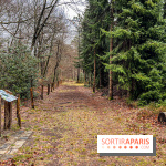 Arbor&Sens, l'Arboretum de Franchard en forêt de Fontainebleau - les photos - IMG 7940