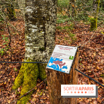 Arbor&Sens, l'Arboretum de Franchard en forêt de Fontainebleau - les photos - IMG 7935