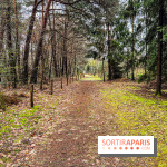 Arbor&Sens, l'Arboretum de Franchard en forêt de Fontainebleau - les photos - IMG 7932