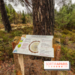 Arbor&Sens, l'Arboretum de Franchard en forêt de Fontainebleau - les photos - IMG 7926