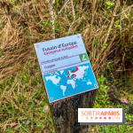 Arbor&Sens, l'Arboretum de Franchard en forêt de Fontainebleau - les photos - IMG 7911