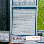 Arbor&Sens, l'Arboretum de Franchard en forêt de Fontainebleau - les photos - IMG 7898