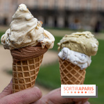 Brigat' Gelato - la glacerie Place des Vosges -  A7C9935