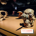 Mexica, des dons et des dieux au Templo Major : l'exposition du musée du Quai Branly se dévoile - IMG20240402105855