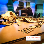 Mexica, des dons et des dieux au Templo Major : l'exposition du musée du Quai Branly se dévoile - IMG20240402105127