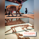 Mexica, des dons et des dieux au Templo Major : l'exposition du musée du Quai Branly se dévoile - IMG20240402105644