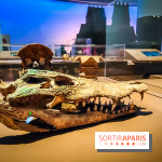 Mexica, des dons et des dieux au Templo Major : l'exposition du musée du Quai Branly se dévoile - IMG20240402105318