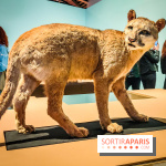 Mexica, des dons et des dieux au Templo Major : l'exposition du musée du Quai Branly se dévoile - IMG20240402105636