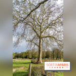 Le Parc du Château de Plaisir (78) - photos