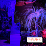 L’art de James Cameron - IMG 9936