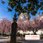 Square Gabriel Pierné à Paris - cerisiers en fleurs
