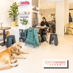 Seven Heaven, le coffee shop dog's friendly et kid's friendly de Paris 11e -  A7C0495
