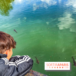 France Miniature 2024  - image00042