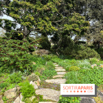 Jardin de l'Ecole du Breuil - nos photos - image00022