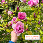 Jardin de l'Ecole du Breuil - nos photos