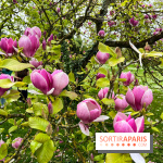 Jardin de l'Ecole du Breuil - nos photos