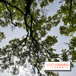 Jardin de l'Ecole du Breuil - nos photos - image00013