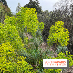 Jardin de l'Ecole du Breuil - nos photos
