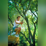 Sherwood Parc - Accrobranche 01