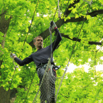 Sherwood Parc - Accrobranche 04