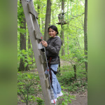 Sherwood Parc - Accrobranche 06