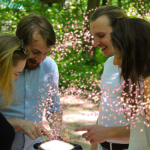 Sherwood Parc - Explor Games 01