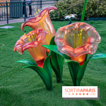 La Symphonie des Couleurs Disney à Disneyland Paris - DSC 9972