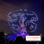 Disney Electrical Sky Parade - IMG 4474