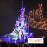 Disney Electrical Sky Parade - IMG 6157