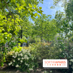 Jardin René Binet - nos photos