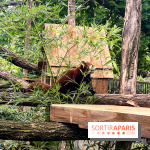 Ménagerie du Jardin des Plantes 2024 - nos photos - image00011