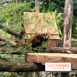 Ménagerie du Jardin des Plantes 2024 - nos photos - image00008